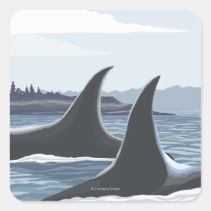 シャチのクジラ#1 - Ketchikan、アラスカ スクエアシール