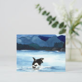 シャチの違反 ポストカード (スタンド正面)