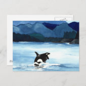 シャチの違反 ポストカード (正面/裏面)