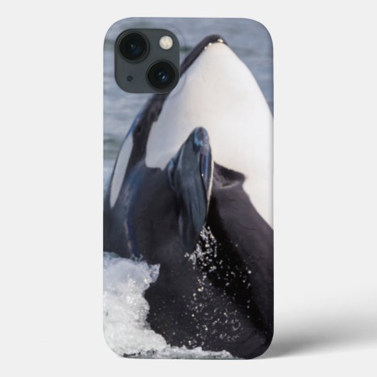 シャチの飛沫 Case-Mate iPhoneケース (裏面)