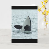 シャチのSpyhopの挨拶状 カード (黄色い花)