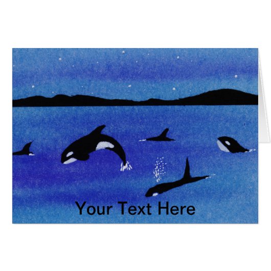 シャチ (正面横)