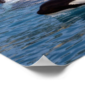 シャチ3頭 ポスター (角)