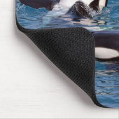 シャチ3頭 マウスパッド (コーナー)