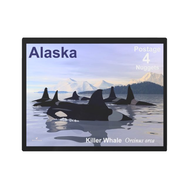 シャチ – アラスカ郵便料金 メタルプリント (正面)