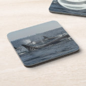 シャチ コースター (左側)