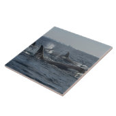 シャチ タイル (側面)