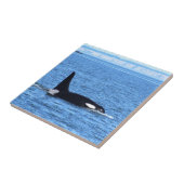 シャチ タイル (側面)