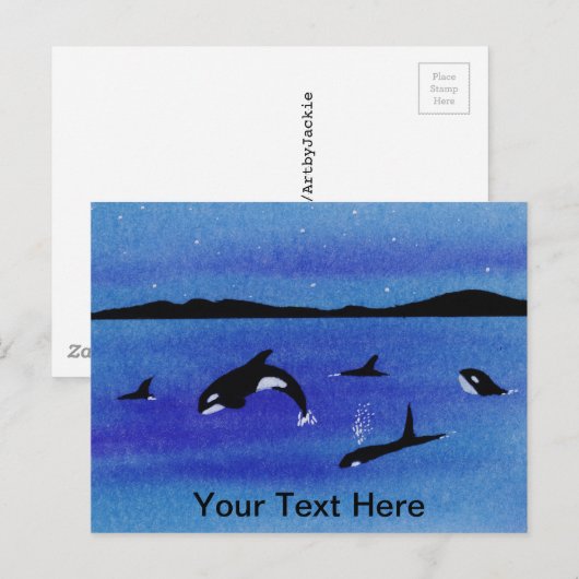 シャチ ポストカード (正面/裏面)
