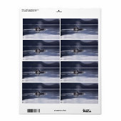 シャチ ラベル (フルシート)