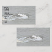 シャチ 名刺 (正面/裏面)