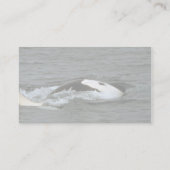 シャチ 名刺 (裏面)