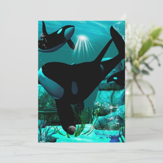 シャチ 招待状 (スタンド正面)