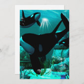 シャチ 招待状 (正面/裏面)