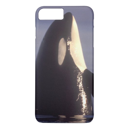 シャチ(Orcinus orca)のスパイホップ、近くで Case-Mate iPhoneケース (裏面)
