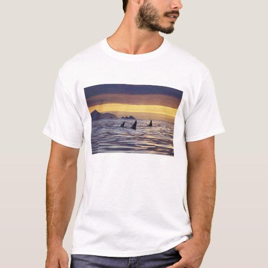 シャチ Tシャツ (正面)