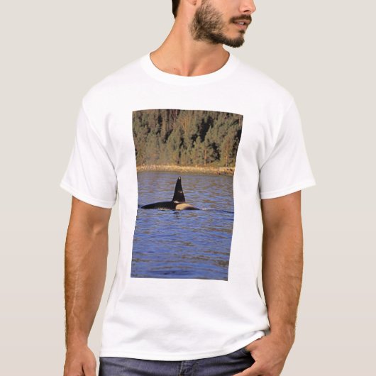 シャチ Tシャツ (正面)
