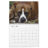 シャックカレンダー カレンダー (3月 2027)