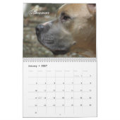 シャックカレンダー カレンダー (1月 2027)