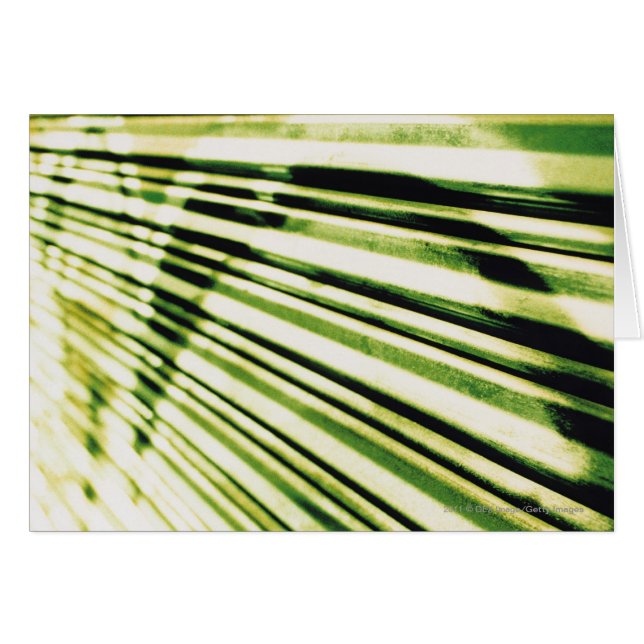 シャッターの落書き (正面横)