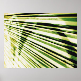 シャッターの落書き ポスター