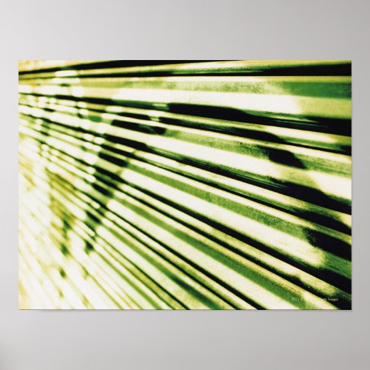 シャッターの落書き ポスター (正面)