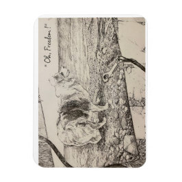 シャッツィ マグネット