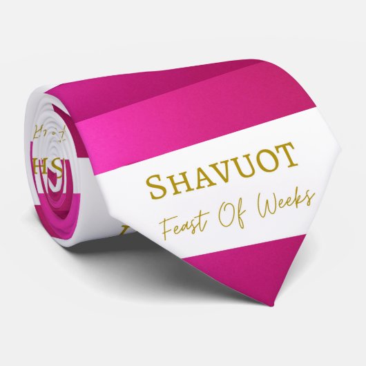 シャツのスーツのネクタイアクセサリーのシャブーの饗宴の週 ネクタイ (ロール)