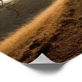 シャディーオーク&カリフォルニアスネットプリント ポスター (角)