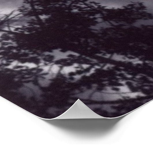 シャディ ポスター (角)