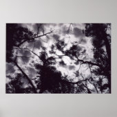 シャディ ポスター (正面)