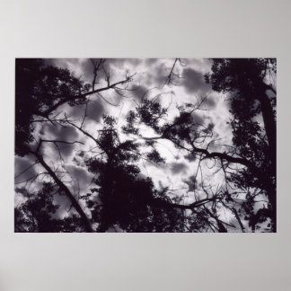 シャディ ポスター