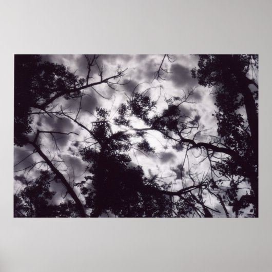 シャディ ポスター (正面)