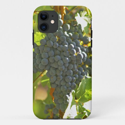 シャトーのカベルネ・ソーヴィニヨン ブドウの房 Case-Mate iPhoneケース (裏面)