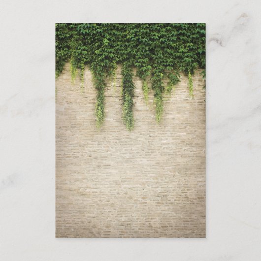 シャトー素朴ストーン教会結婚の指示 エンクロージャーカード (裏面)