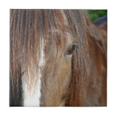 シャトー タイル (正面)