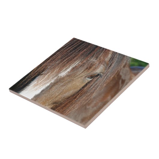 シャトー タイル (側面)