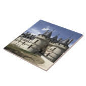 シャトー·ド·チャウモン·シュルロワール タイル (側面)