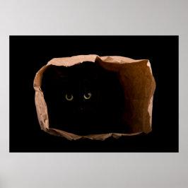 シャドウの非表示 ポスター