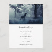 シャドウィーの森に〔雄ジカの〕枝角を持つ結婚鹿 案内ポストカード (正面)