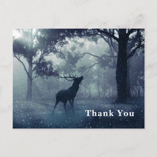 シャドウィー森の〔雄ジカの〕枝角を持つ鹿ありがとう ポストカード (正面)