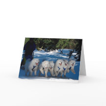 「シャドウファン」グリーティングカード