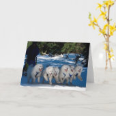 「シャドウファン」グリーティングカード カード (黄色い花)