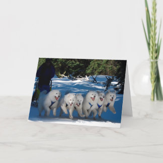 「シャドウファン」グリーティングカード カード