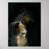 シャドウ内 ポスター (正面)