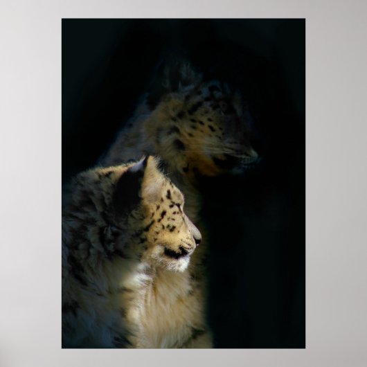 シャドウ内 ポスター (正面)