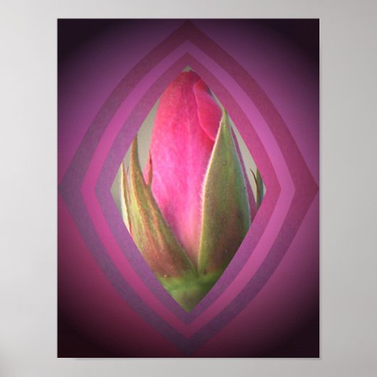 シャドウ美しい ポスター (正面)