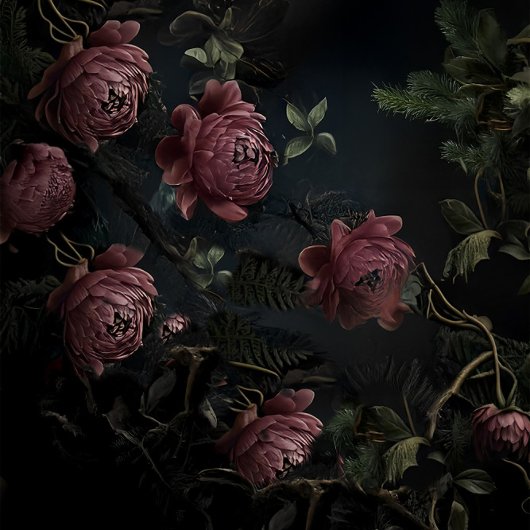 シャドウ開花 薄葉紙