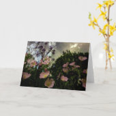 シャドウ·カードの開花 カード (黄色い花)