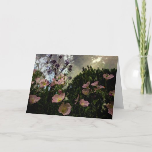 シャドウ·カードの開花 カード (正面)